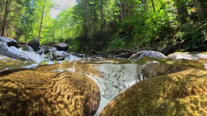 在清澈的山河中，镜头在石头之间移动。森林中山涧的半水下慢动作镜头。树林里有一条小河，有瀑布