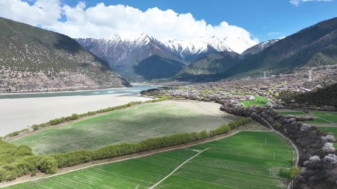 西藏林芝雪山桃花河流沙滩乡村的航拍风光