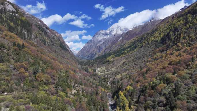 四川阿坝四姑娘山长坪沟秋景航拍