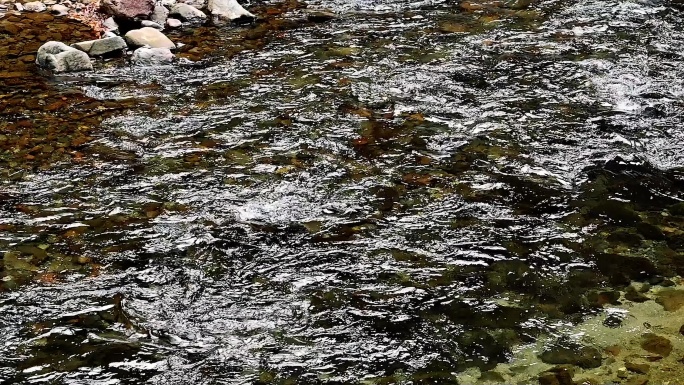 潺潺流水流过河滩实拍视频