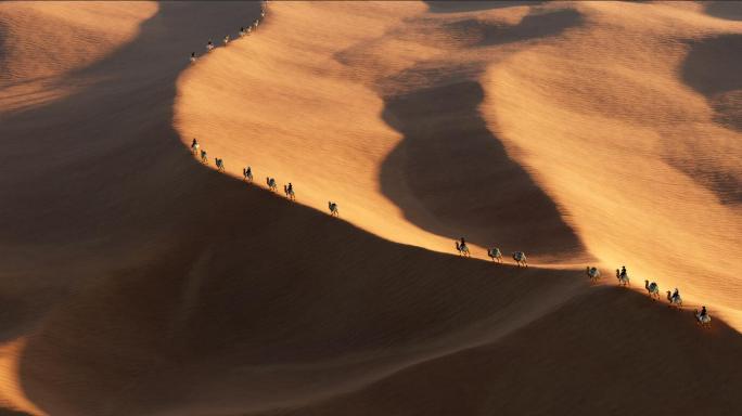 一带一路丝绸之路骆驼商队-4K