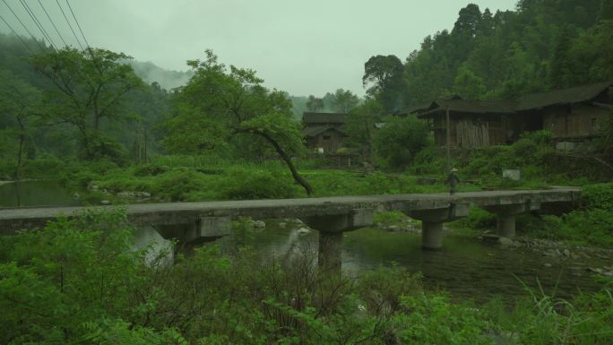 下雨天稻田雾气环绕