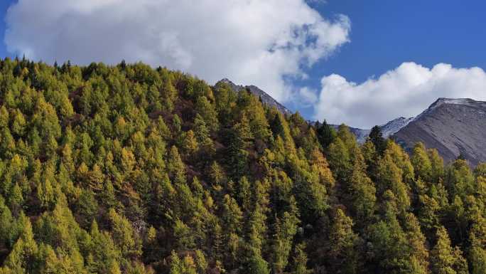 高山秋景蓝天白云航拍