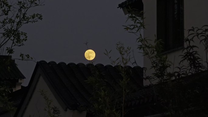 庭院夜景月亮屋檐 树木影子中秋月亮古建筑