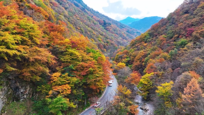 神农架风景