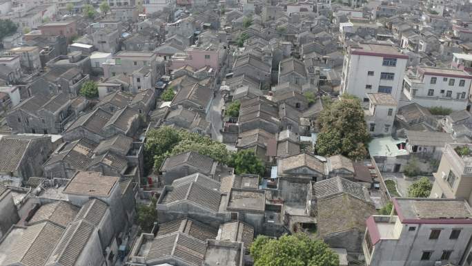 广东中山市 传统村落 古村落 上塘村