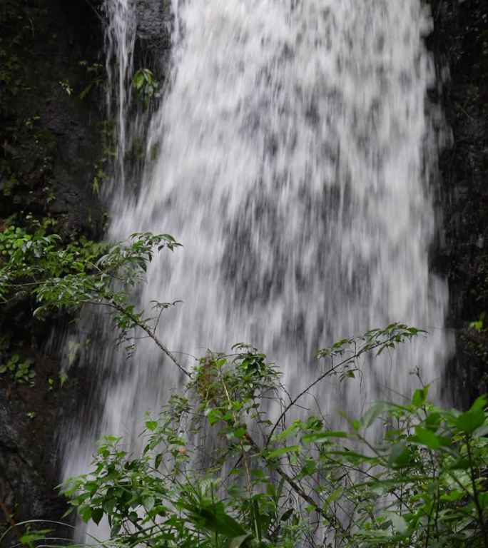 竖拍深圳马峦山瀑布碧岭瀑布群