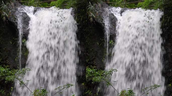 竖拍深圳马峦山瀑布碧岭瀑布群