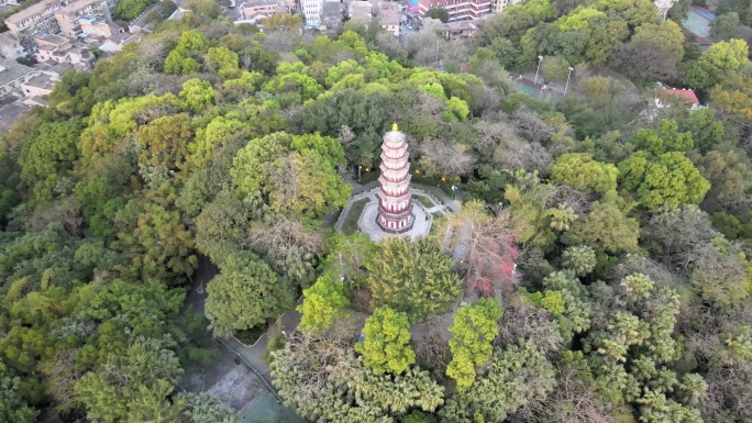 广东 中山市 航拍