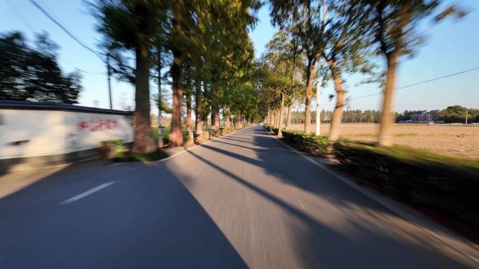 开车经过乡村道路夕阳光