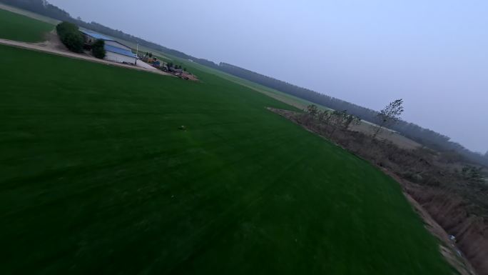 草坪种植基地大面积草坪穿越机fpv航拍