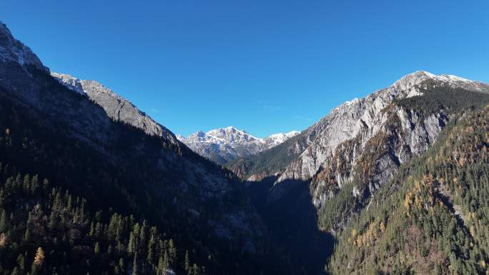 四川九寨沟雪山原始森林冰川彩林秋景航拍