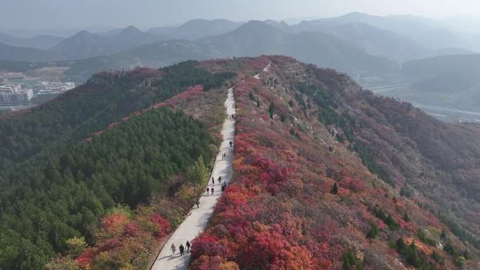 济南蚰蜒山红叶