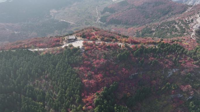 济南蚰蜒山秋色