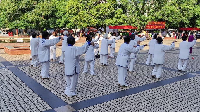 老年广场晨练太极老年太极社区文化太极拳