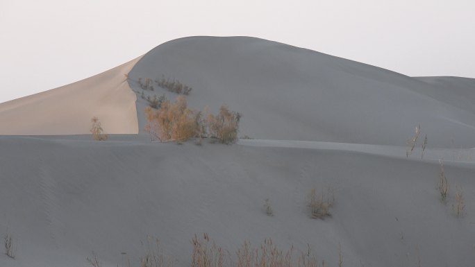 塔克拉玛干沙漠 新疆南疆