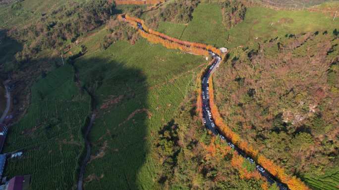 日出时分的东白山盘山公路