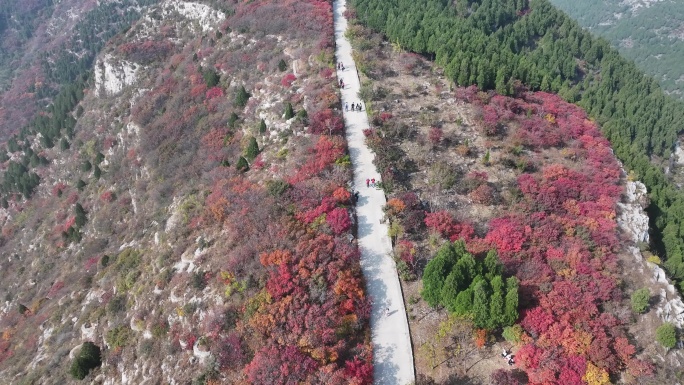 济南蚰蜒山秋色