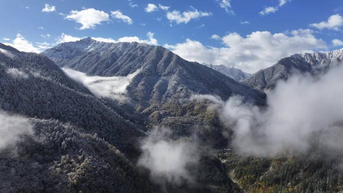 高山雪景晨雾航拍