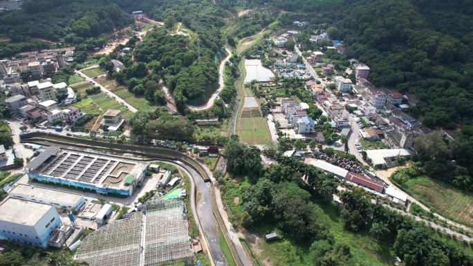 深圳光明区光明街道白花社区古村落