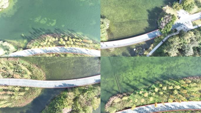 俯瞰成都公园秋日的美丽