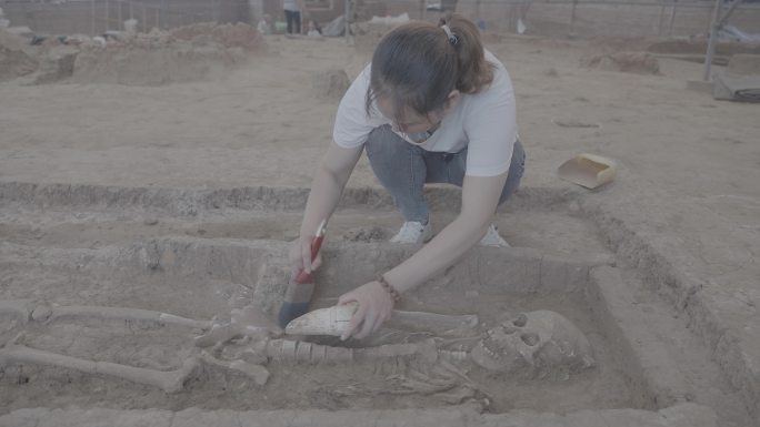 4K 考古发掘现场 挖掘遗址 清理 人类