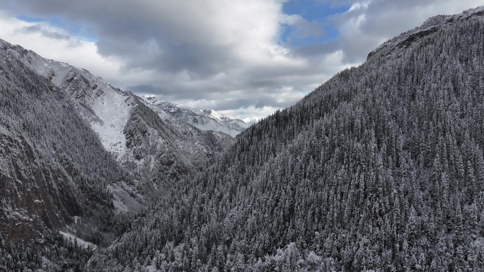 雪山雪景冬天航拍