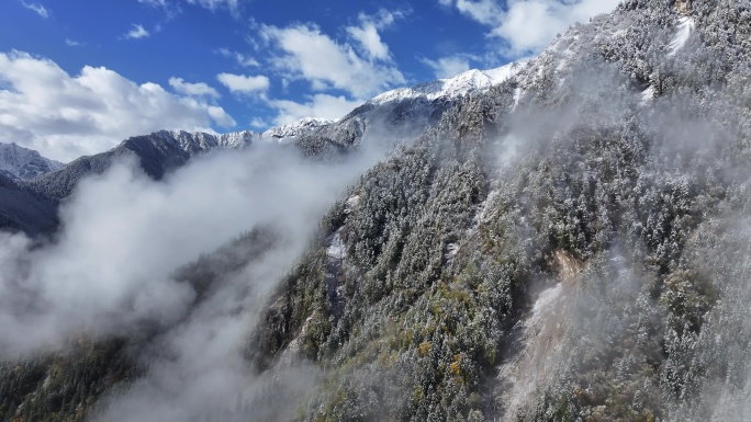 高山雪景晨雾航拍