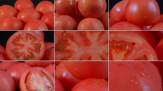 西红柿番茄时令蔬菜