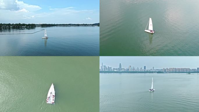 湖北武汉东湖里的帆船航行综合镜头