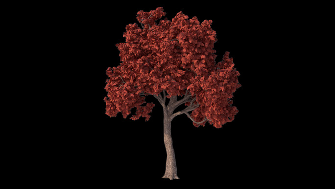 风吹动态树-带通道