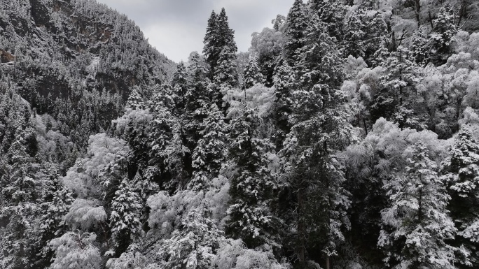 雪山雪景冬天航拍