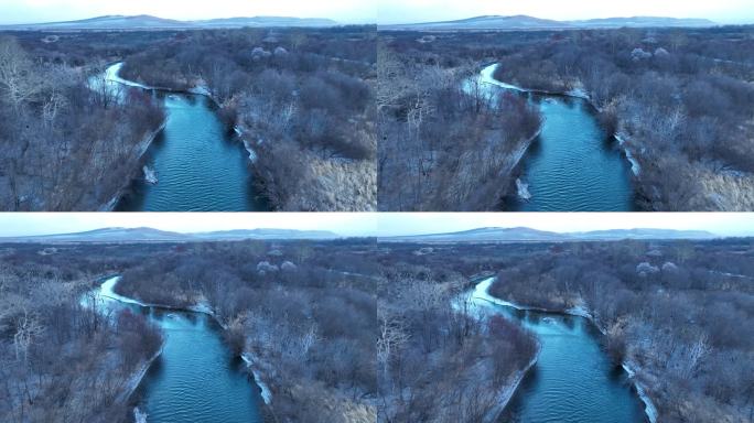 栖息在湿地河畔的候鸟