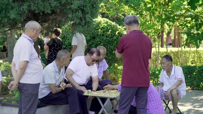 公园几个老人在下棋