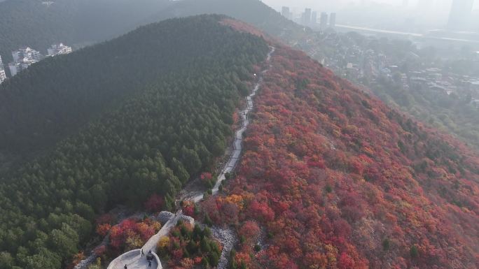 济南蝎子山红叶