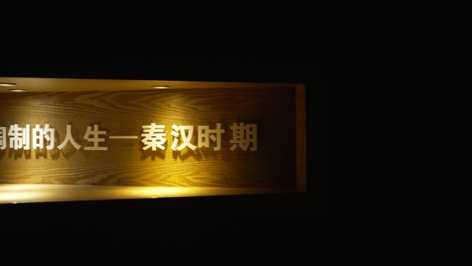 陕西宝鸡青铜器博物院文物 秦汉时期209