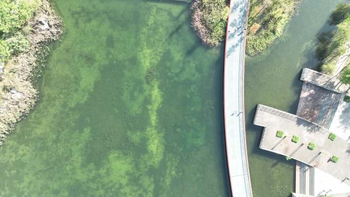 俯瞰成都公园秋日的美丽2