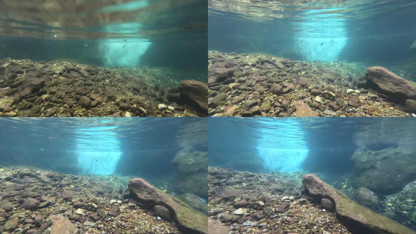 摄像机潜入水中的景象
