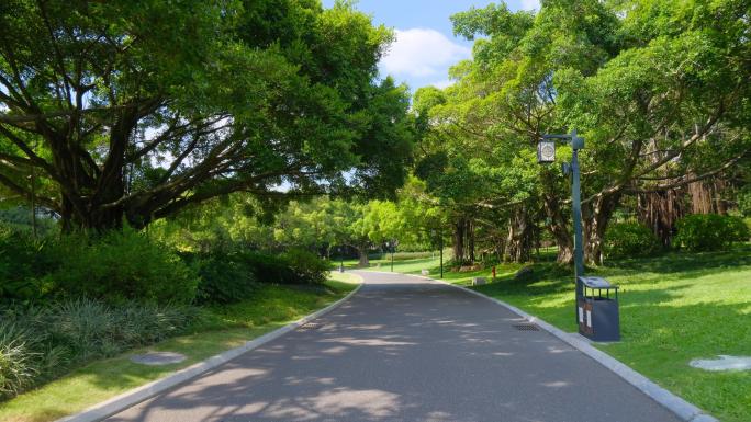 城市公园林荫大道 林荫小路 草坪草地树林