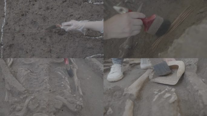 考古发掘 挖掘 人类文明 遗址4K