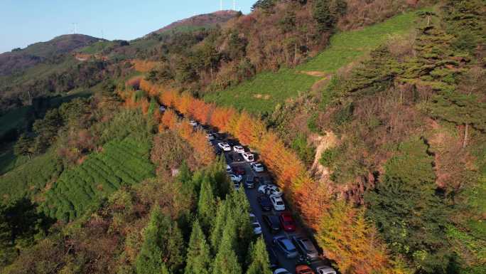 日出时分的东白山盘山公路