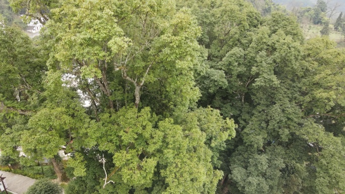 重庆酉阳土家族苗族自治县 龚滩古镇