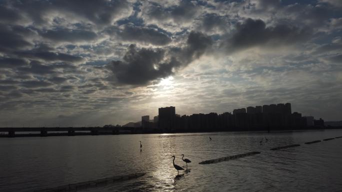 海上日出