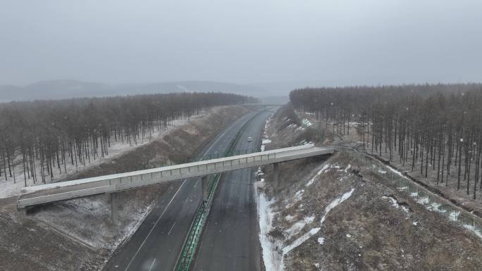 风雪中高速公路上行驶的汽车