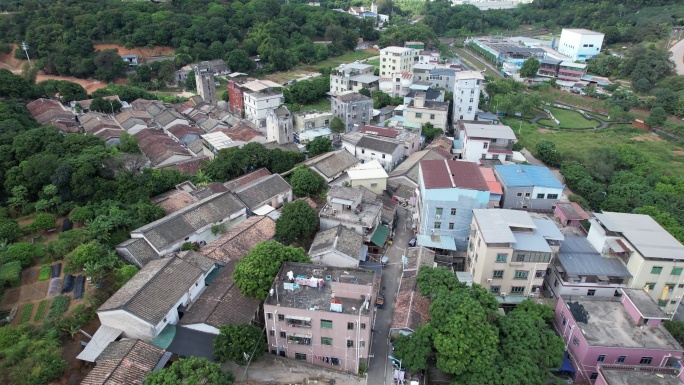 深圳光明区光明街道白花社区古村落