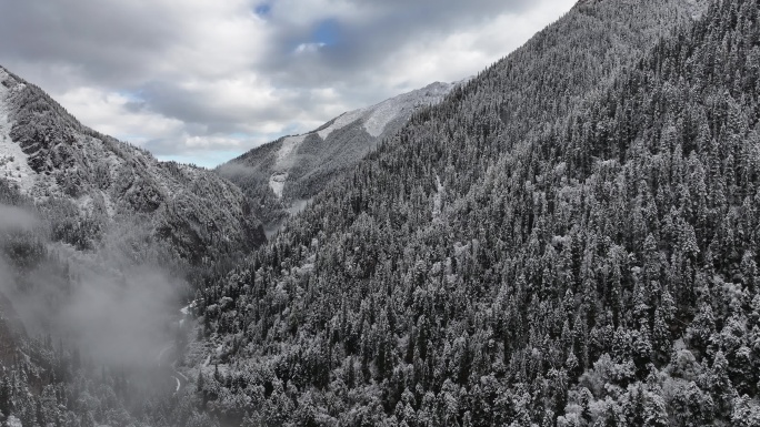 雪山雪景冬天航拍