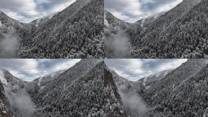 雪山雪景冬天航拍