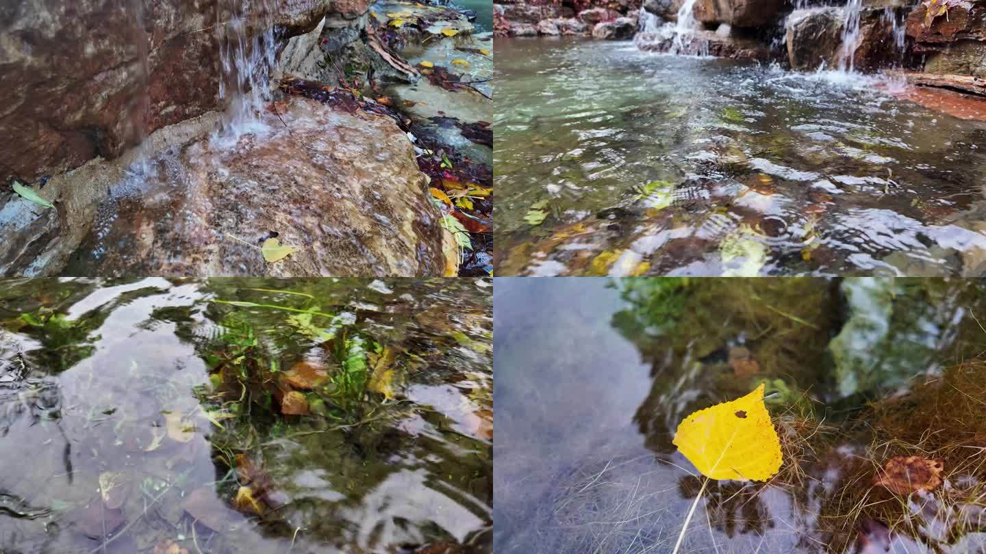 秋天瀑布溪水溪流落叶