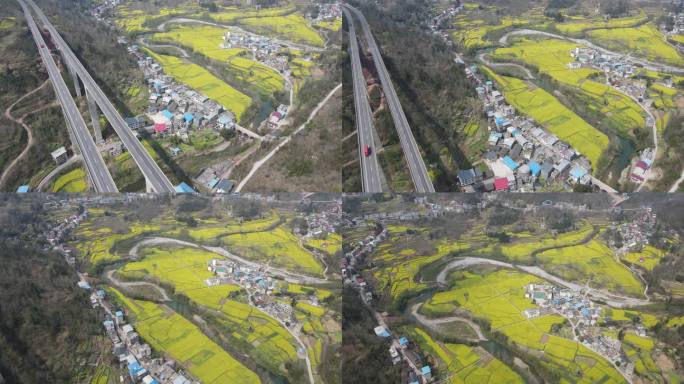 油菜花 花田 油菜 春天 乡村