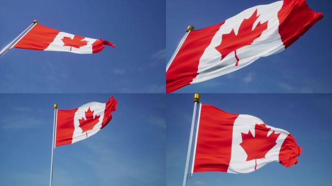 加拿大旗帜